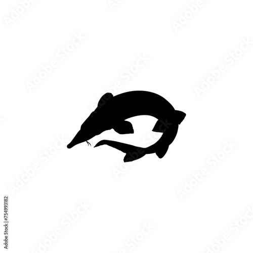 Beluga Sturgeon or Huso Fish Silhouette, Flat Style, Fish Which Produce Premium and Expensive Caviar, For Logo Type, Art Illustration, Pictogram, Apps, Website or Graphic Design Element. Vector 