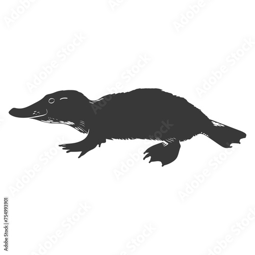 Silhouette platypus animal swim black color only full body