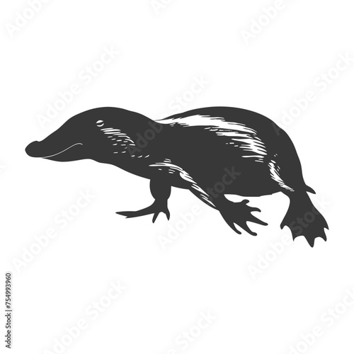 Silhouette platypus animal swim black color only full body