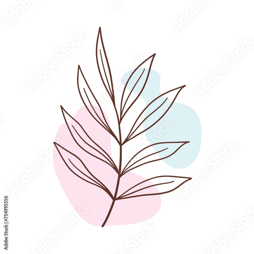 Minimalist botanical floral aesthetic element