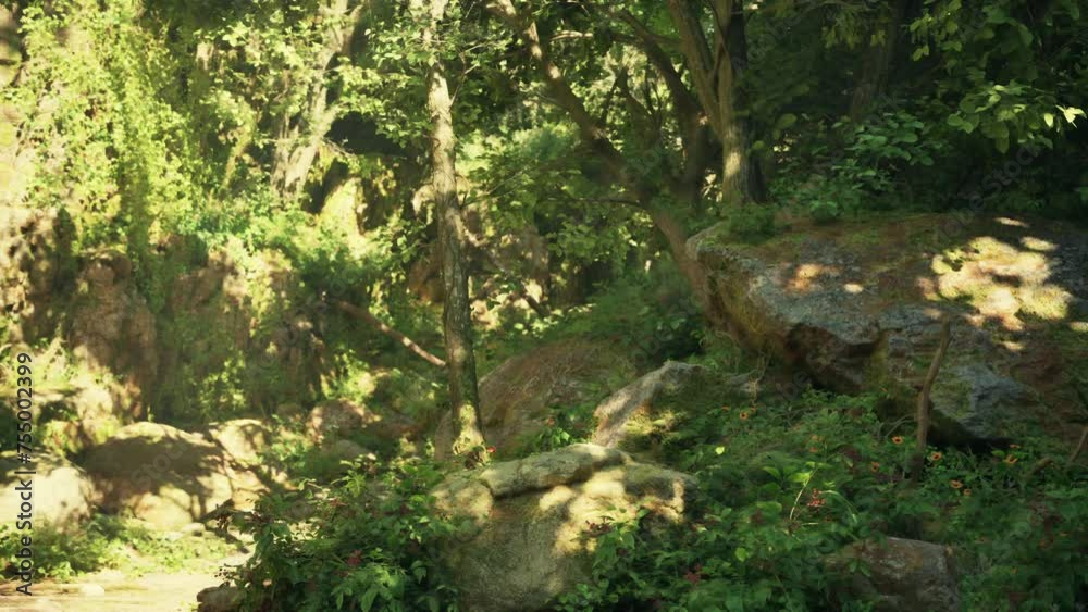 A serene stream flowing through a vibrant green forest A serene stream flowing through a vibrant green forest