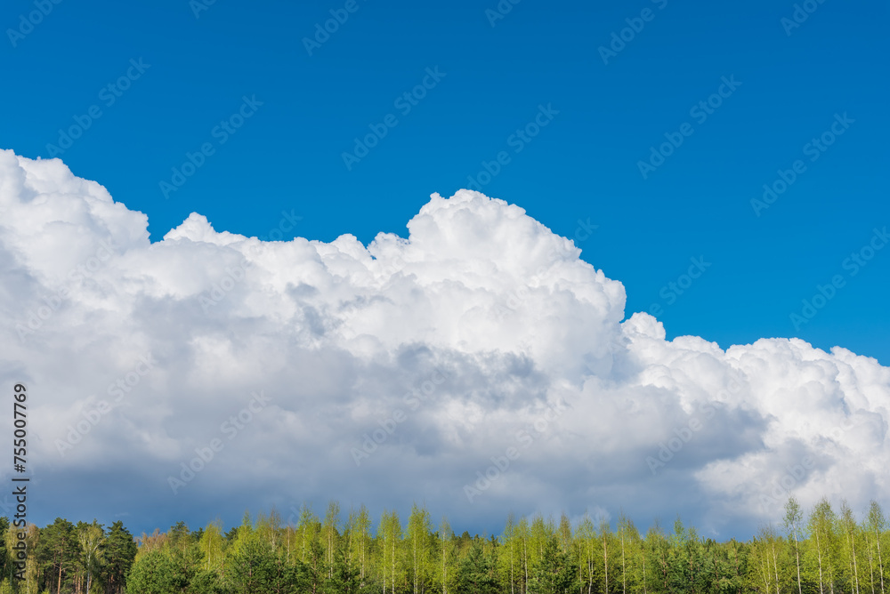 Spring forest and green grass against the background of beautiful clouds with blue skies. Spring natural landscape. Spring forest and green grass against the background of beautiful clouds with blue skies. Spring natural landscape.