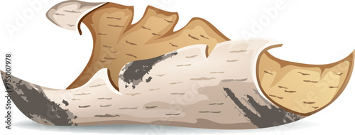 Isometric birch bark of magic spells and witchcraft, royal scroll and parchment, old paper for computer game. Fairy tale manuscript in cartoon style. Isolated vector illustration.
