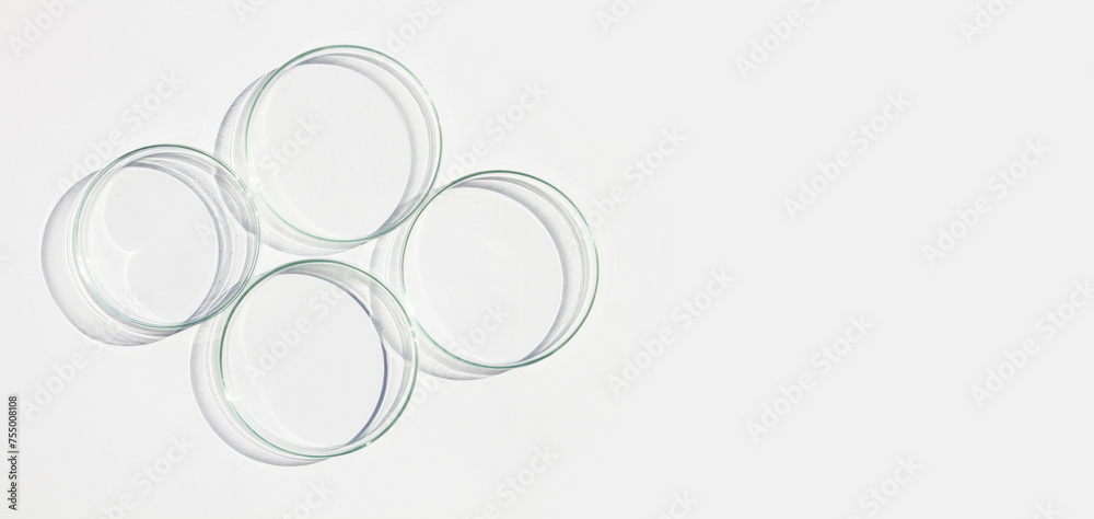 An empty petri dishes on a light background. An empty petri dishes on a light background.