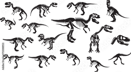 Set of Tyrannosaurus Rex skeleton silhouette  © sacura