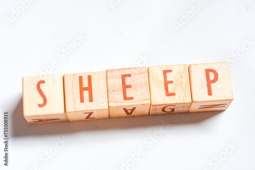 Words Have Cubes word "SHEEP" on wooden background, English learning concept white background
