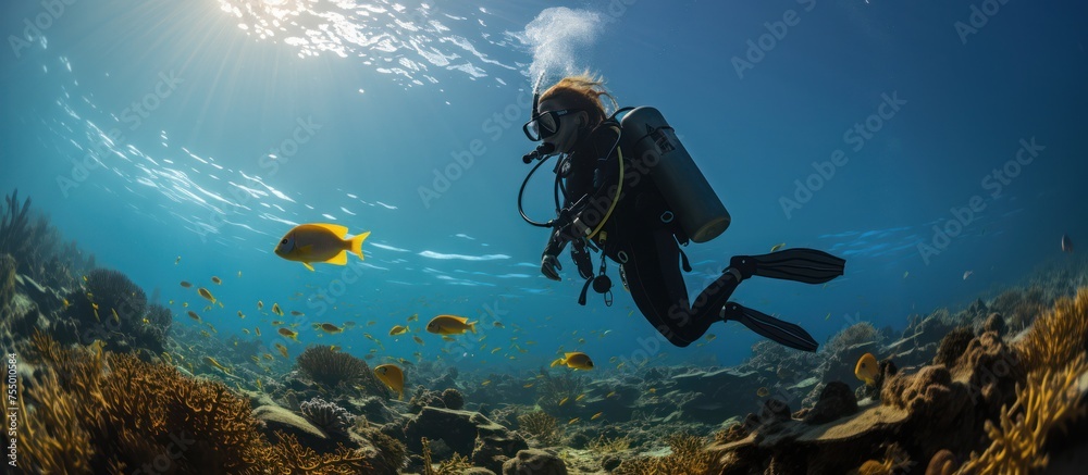 scuba diver near a coral reef surrounded by a school of yellow butterfly fish