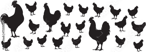 Set of Chicken Silhouette, Vector  Illustration stock illustration
