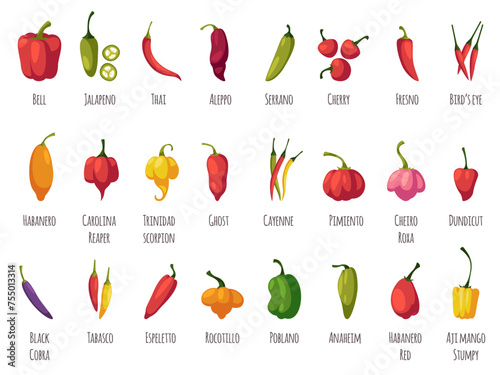 Pepper varieties. Hot spicy, sweet, mild tastes, vegetables cultivars, cayenne, tabasco, chili, bell, cooking ingredients, cards with text, tidy vector cartoon flat style isolated set