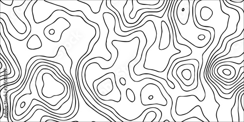 abstract topographic vector white lines pattern.topographic line texture background .monochrome image ,geographic contour map paper texture.Salmon fillet texture, fish pattern. paper texture, abstract