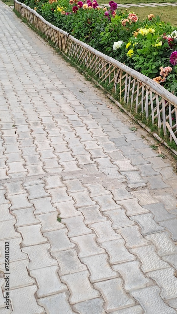 walkway in the Baansera Bamboo park in New Delhi, India 