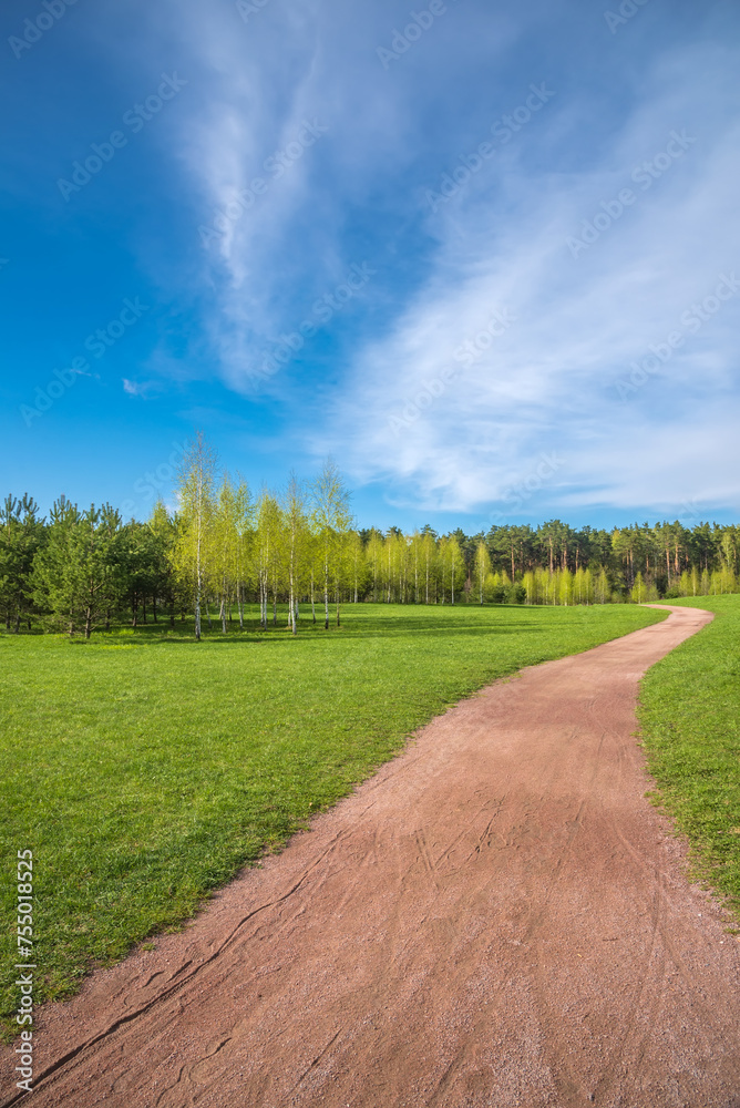 Spring forest and green grass and dirt path against the background of beautiful clouds with blue skies. Spring natural landscape.