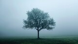 Gloomy Landscape with an Isolated Tree Shrouded in Fog, Surrounded by Mysterious Natural Woodland Scenery