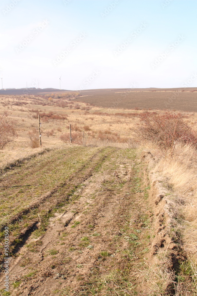 A dirt road in a field A dirt road in a field