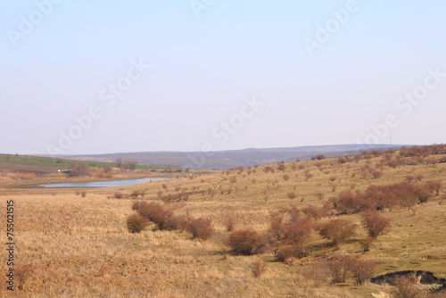 A landscape with dry grass and bushes