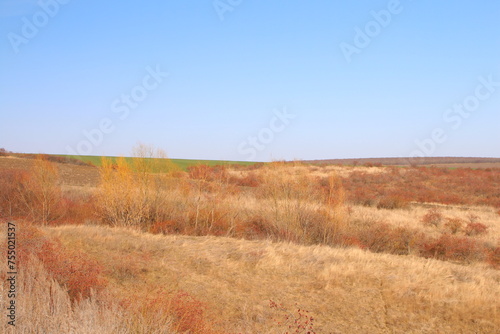 A field of brown grass