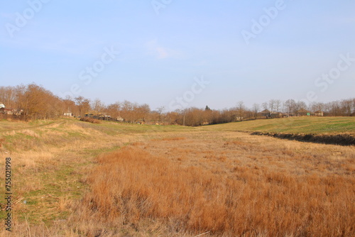 A field of grass