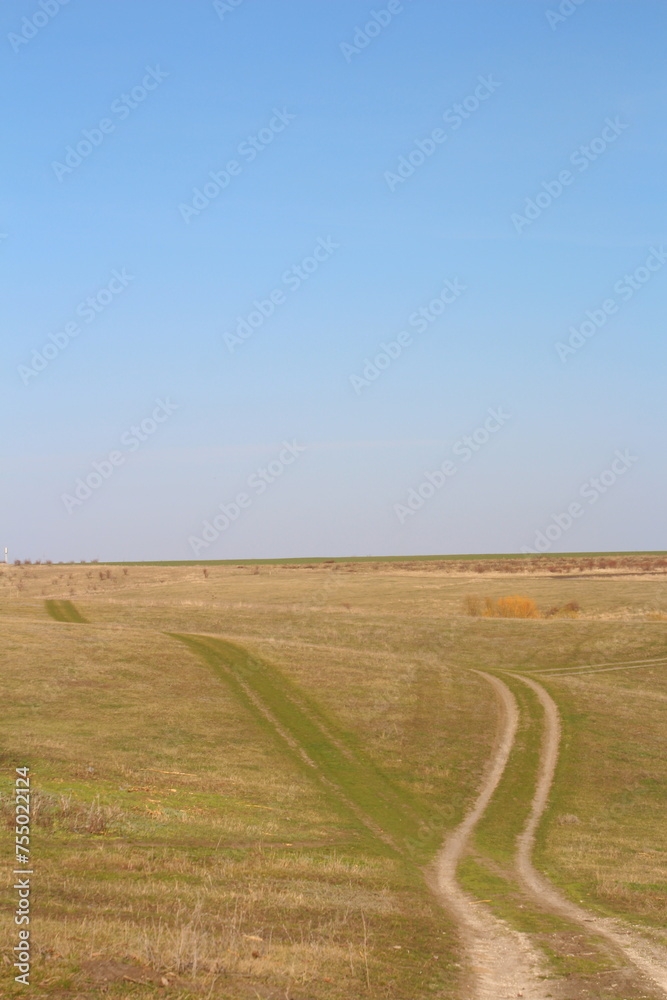 A road through a field