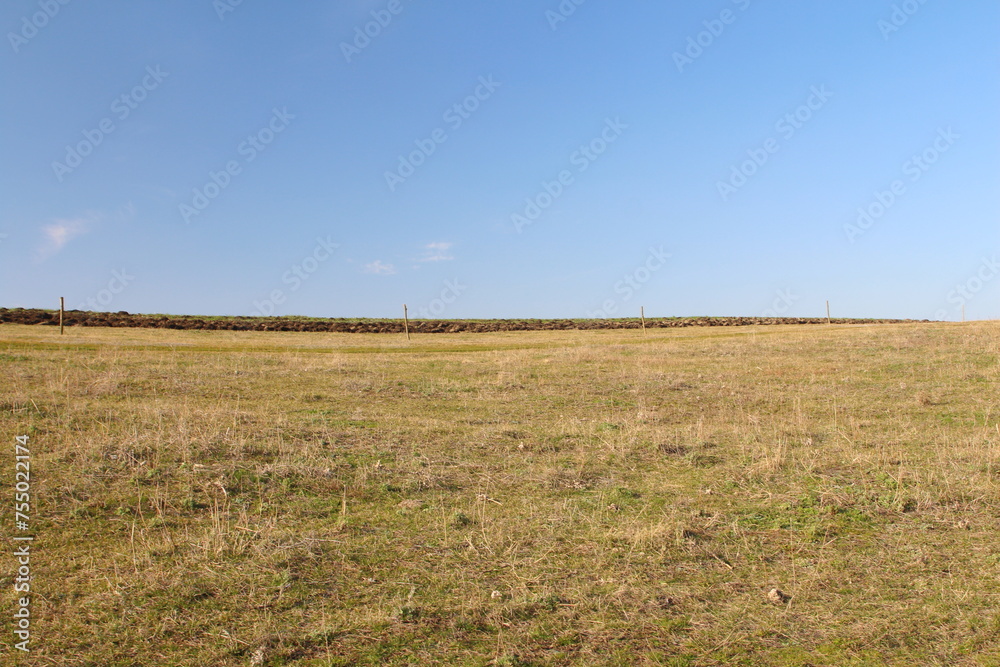 A field with grass and blue sky A field with grass and blue sky