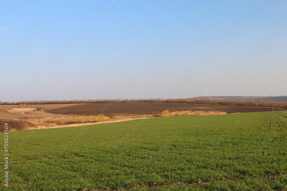 A field with grass and dirt