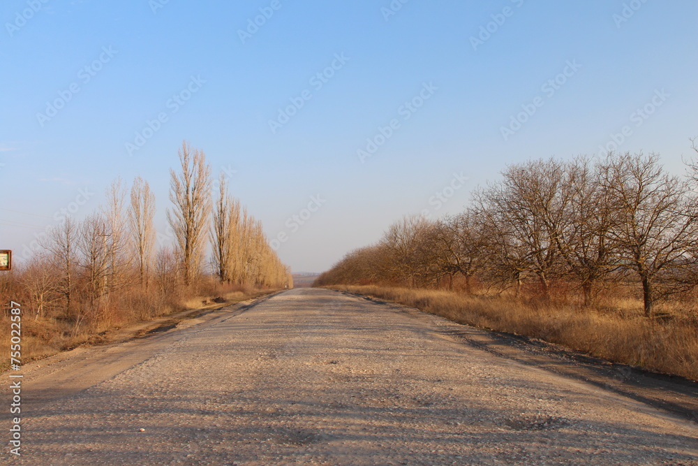 A road with trees on the side
