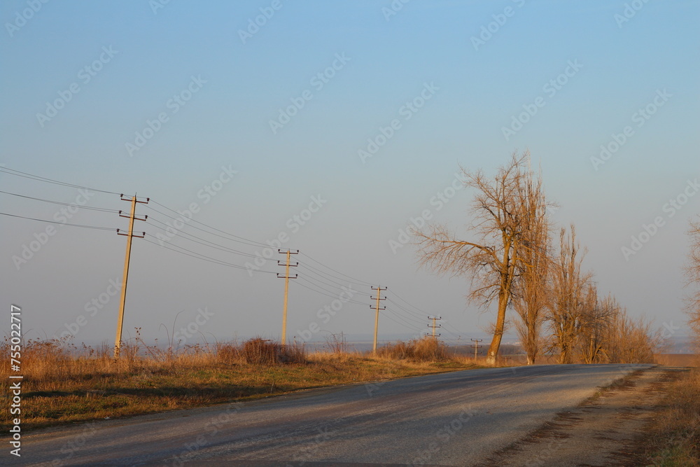 A road with power lines