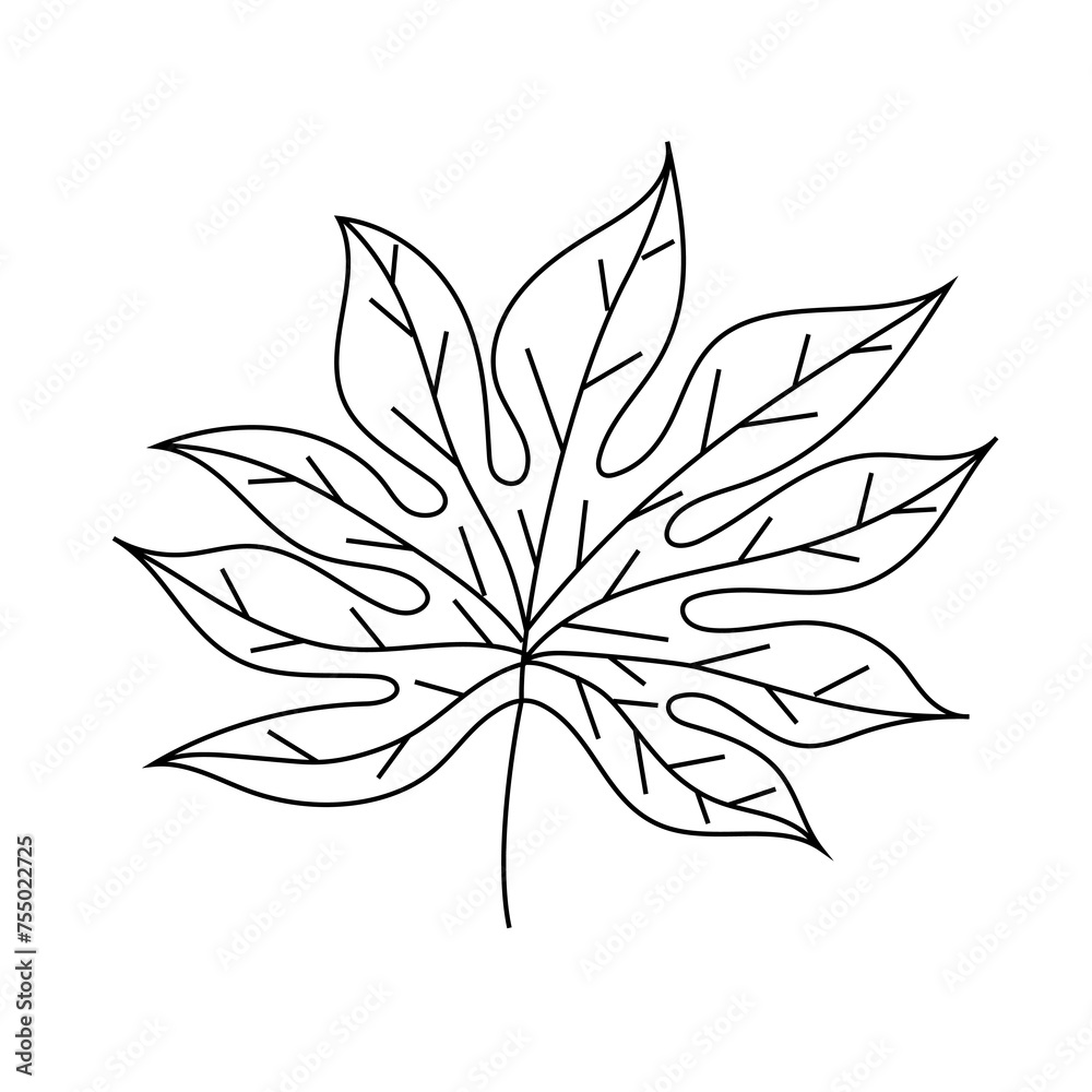 Monochrome drawing of a maple leaf on white background Monochrome drawing of a maple leaf on white background