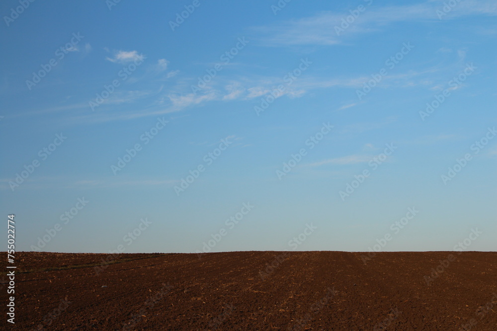 A close-up of a dirt hill