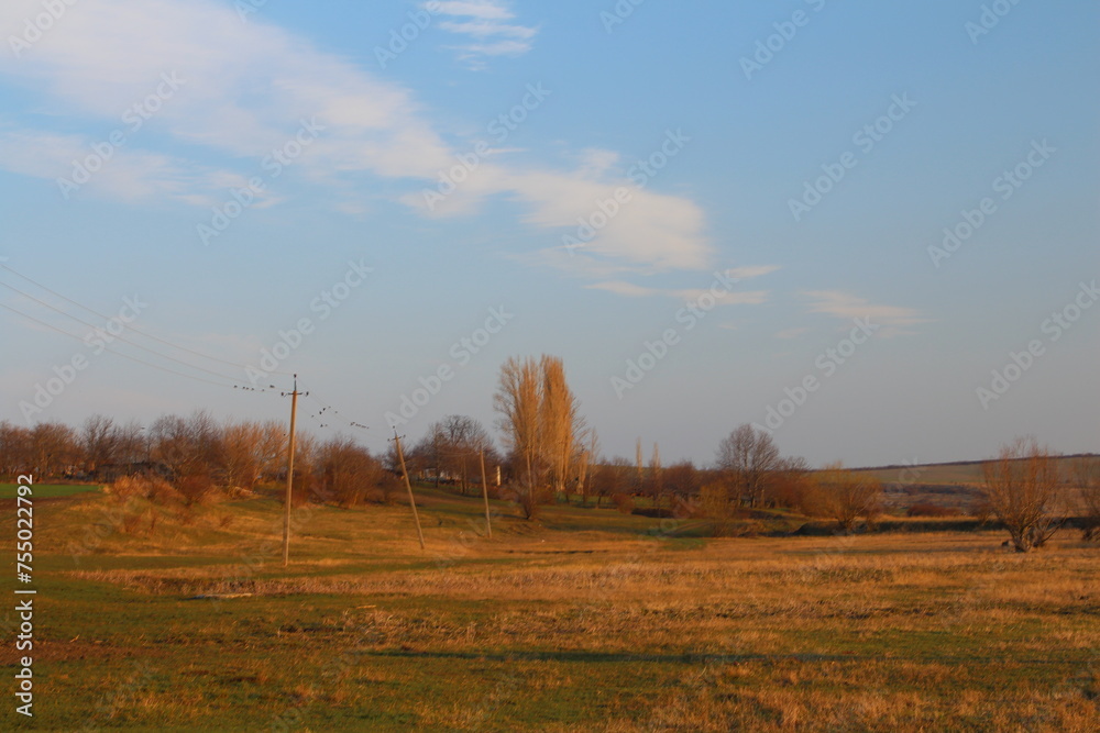 A field with power lines