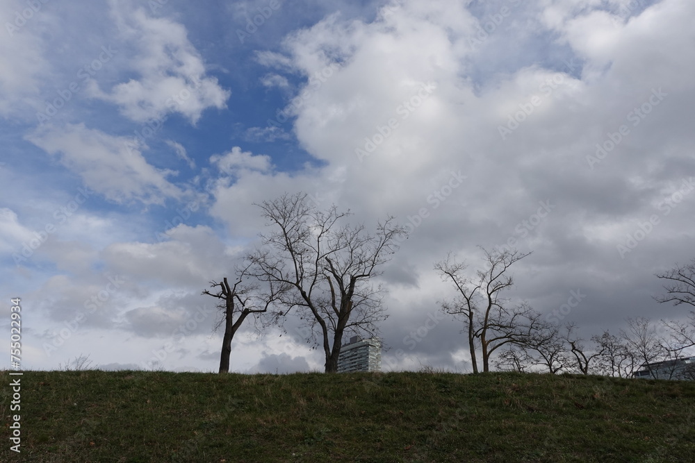 Obraz premium 嵐の気配