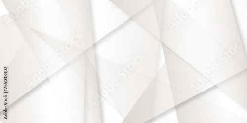 soft silver or white abstract background, Minimal geometric white light background abstract design.gray leaves that reflect concrete walls on a white wall surface.