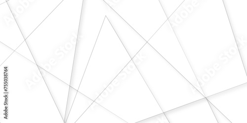 soft silver or white abstract background, Minimal geometric white light background abstract design.gray leaves that reflect concrete walls on a white wall surface.