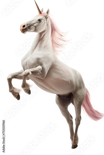 A white unicorn with pink hair rearing isolated on white or transparent background  png clipart  design element. Easy to place on any other background.