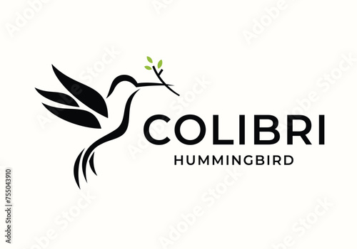 hummingbird colibri logo icon vector design illustration