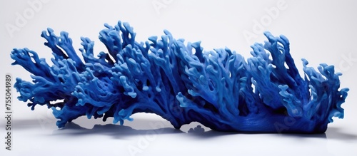 An electric blue coral plant sits on a snowy white surface, resembling a geological phenomenon in a freezing natural landscape photo
