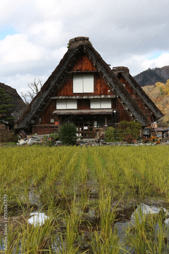 Traditional and Historical Japanese village Shirakawago in autumn season. High quality photo