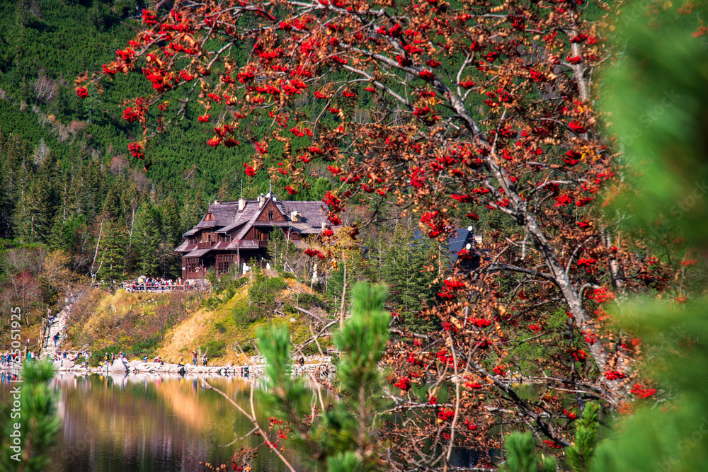 Traditional wooden cottage in Tatras over the mountain Lake Morskie Oko. Very popular tourist place in Poland. Beautiful place in the Tatra National Park with colorful mountain ash in foreground. - obrazy, fototapety, plakaty 