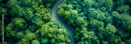 The aerial view captures a road cutting through dense forest vegetation. The road appears to split into two paths amidst the greenery, creating a unique pattern in the landscape
