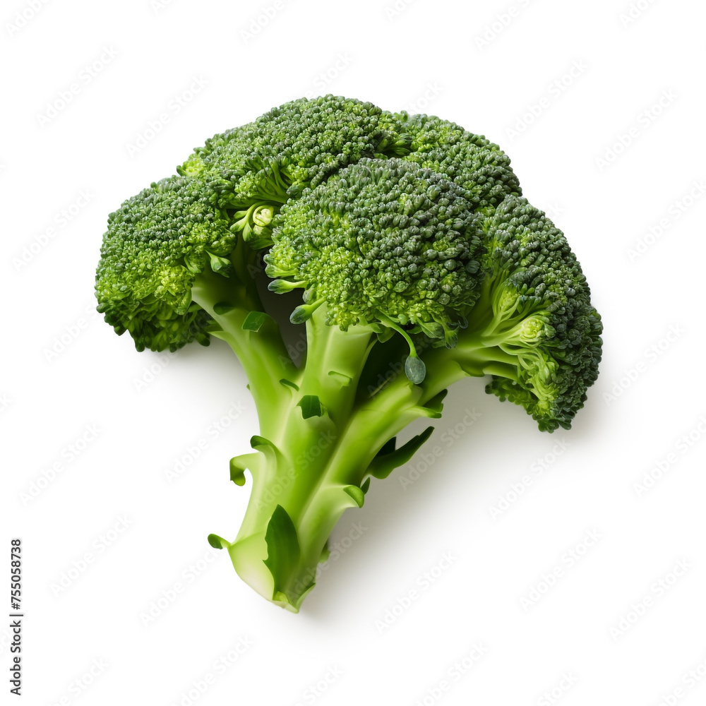 broccoli on a white background сreated with Generative Ai broccoli on a white background сreated with Generative Ai