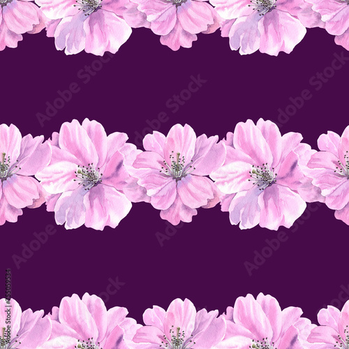 Watercolour Sakura spring flowers illustration seamless pattern. Seasonal Cherry blossom. Hand-painted. Botanical Floral elements. On purple stripe background. For print decoration, fabric, wrapping.
