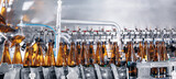 Closeup brown bottles for beer on modern, automated bottling production line in brewery. Process pasteurization, Germ removal and glass cleaning