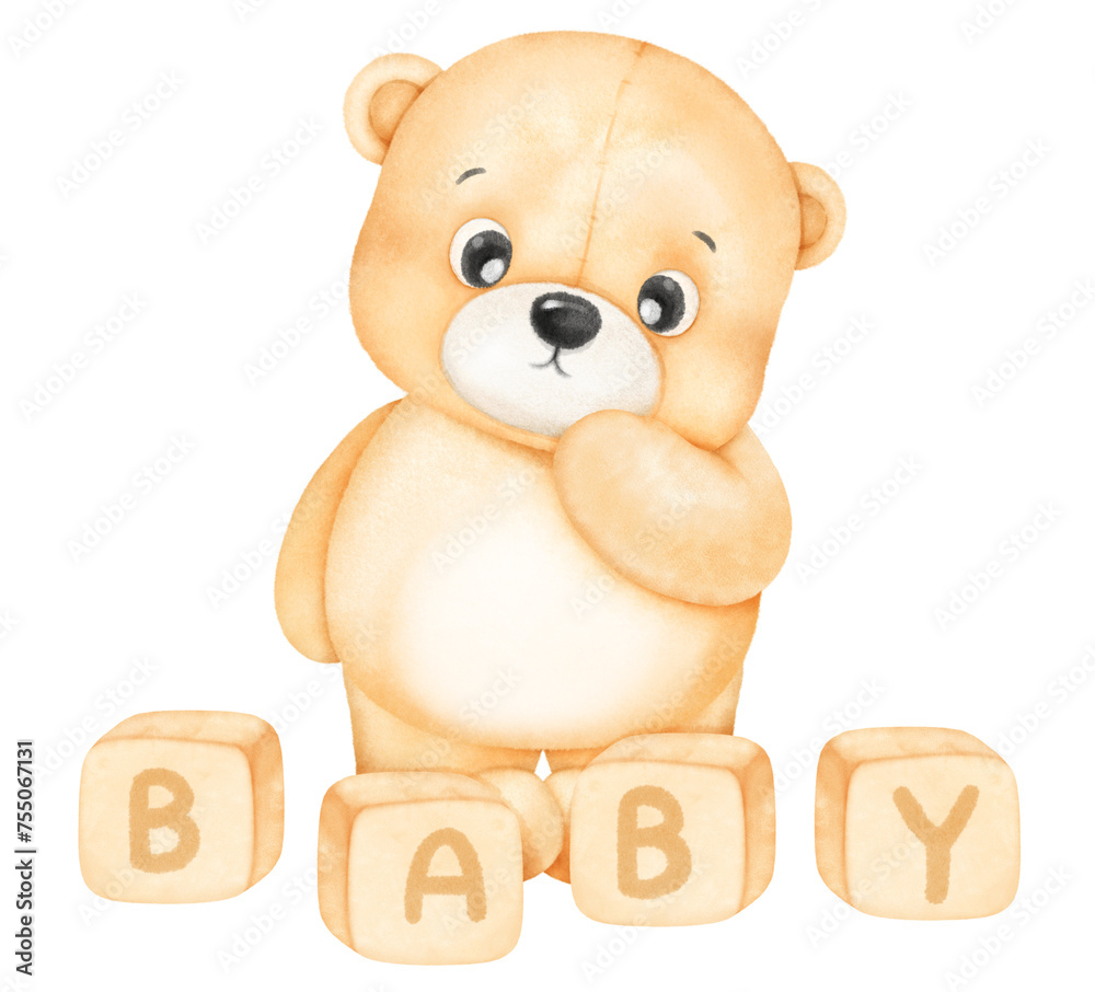 Fototapeta premium baby bear