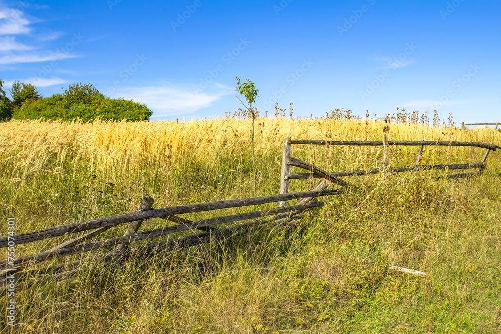 A crumbling old wooden fence in the tall grass that protected the crops from wild animals.