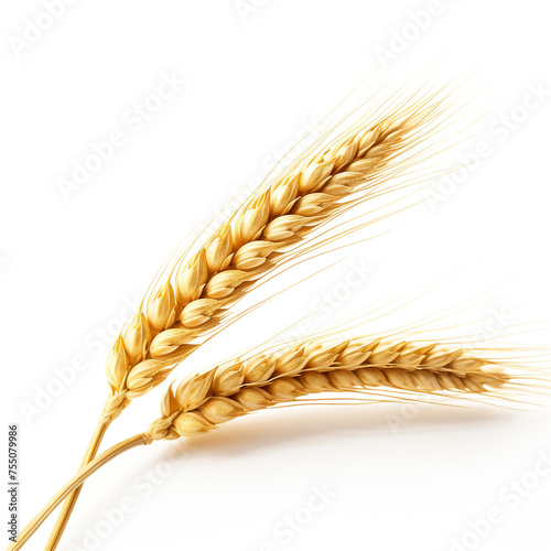 An ear of wheat, white background, professional photo сreated with Generative Ai