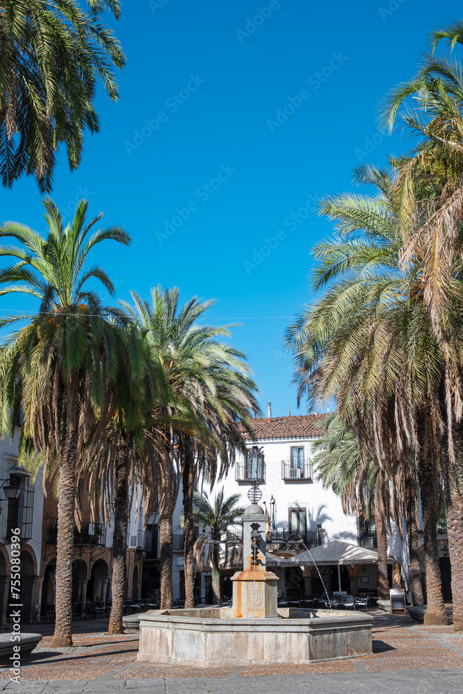 Fuente de piedra en la plaza Grande ajardinada con palmeras de la hermosa villa de Zafra, España