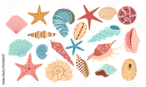 Sea shell, sink cartoon set. Ocean exotic underwater seashell conch aquatic mollusk, sea spiral snail, marine starfish collection. Tropical beach shells nature aquatic water flat design illustration