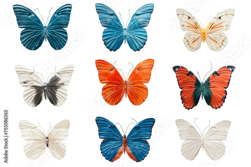 colorful isolated butterflies on white background 