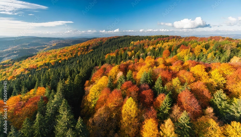 Naklejka premium aerial drone view over beautiful autumn forest landscape colourful trees in the wood