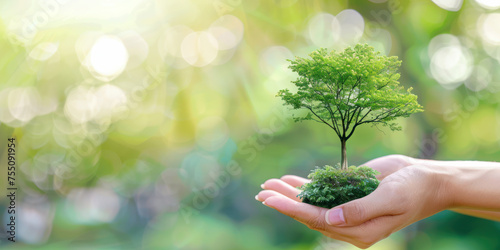 Sustainability in Hand. An open hand cradling a lush green tree against a soft bokeh light background symbolizing environmental care and sustainability.