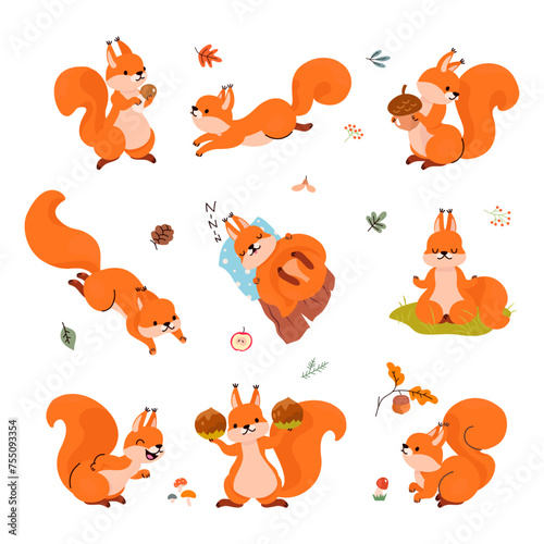 Cartoon squirrel. Forest funny squirrels in different poses. Animals sleep, storing food for winter, play and meditation. Cute nowaday vector character